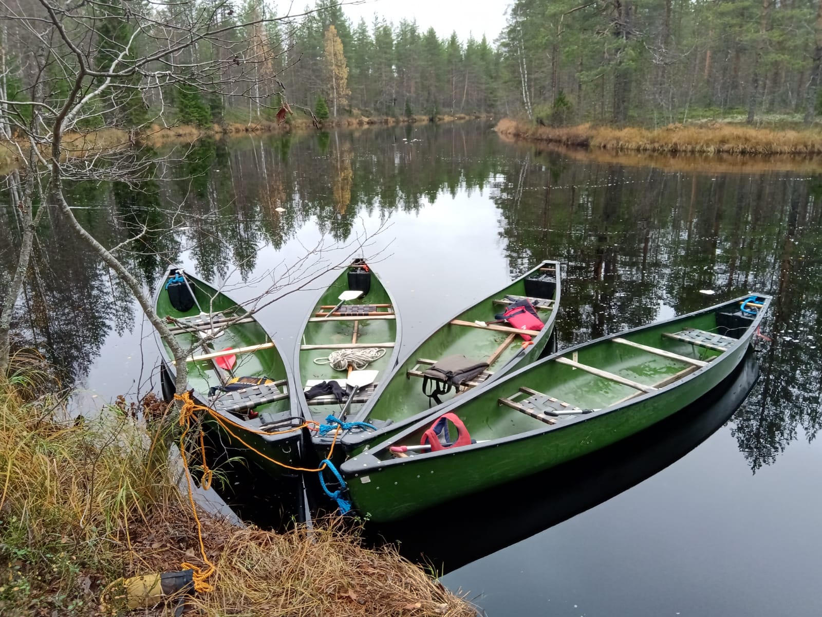 Koitajoen melontaretki Pohjois-Karjalaan